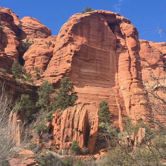 Meet your Posher, Sophia - Picture 1 of 1